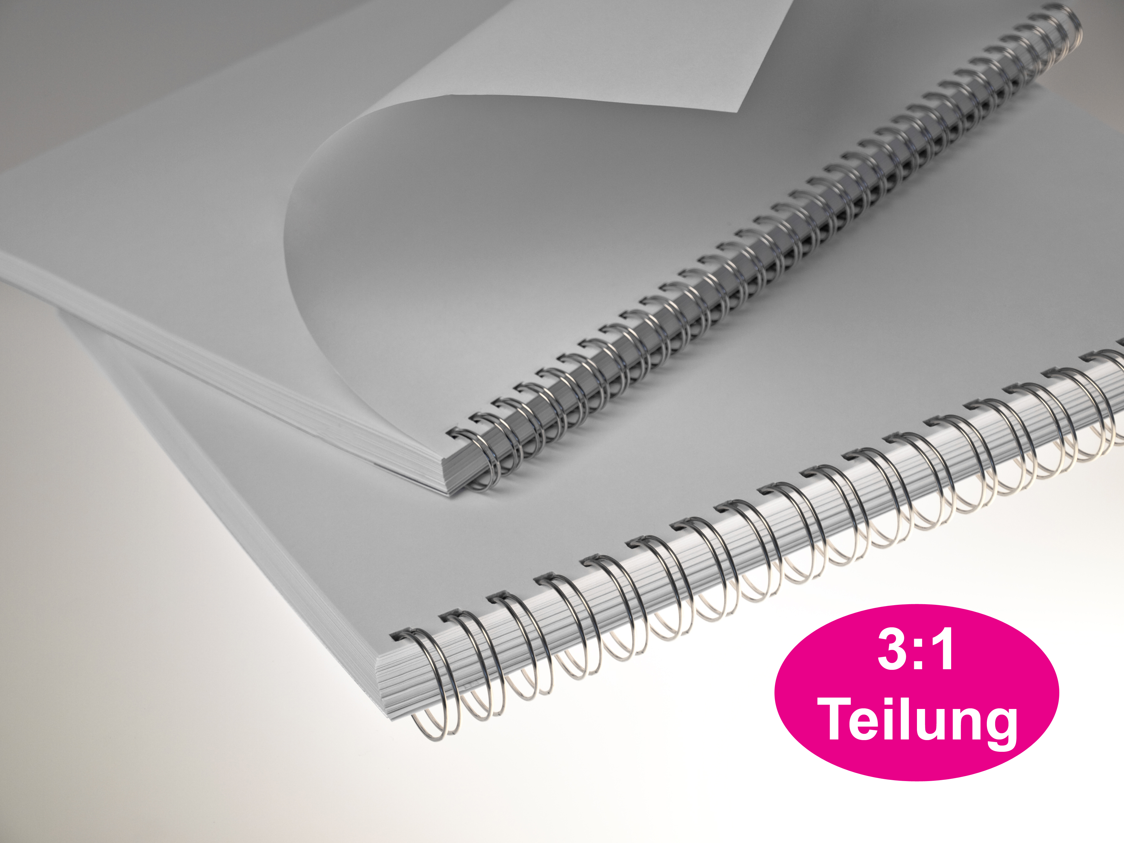 RENZ Drahtbinderücken STARTERSET 3:1 - silber lackiert (nc) RENZ Drahtbinderücken STARTERSET 3:1 - silber lackiert (nc)