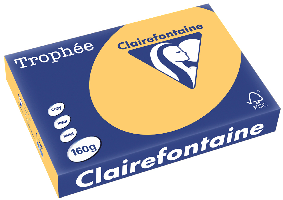 23d3dbf0faaccd8078ebf8320572fce6 Clairefontaine Trophée Papier 1103C, A4, 160 g/m² - goldgelb - goldgelb