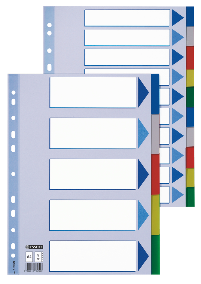 15260-6158935f067e40f Esselte Kunststoff-Register, blanko, A4, PP, 10-teilig