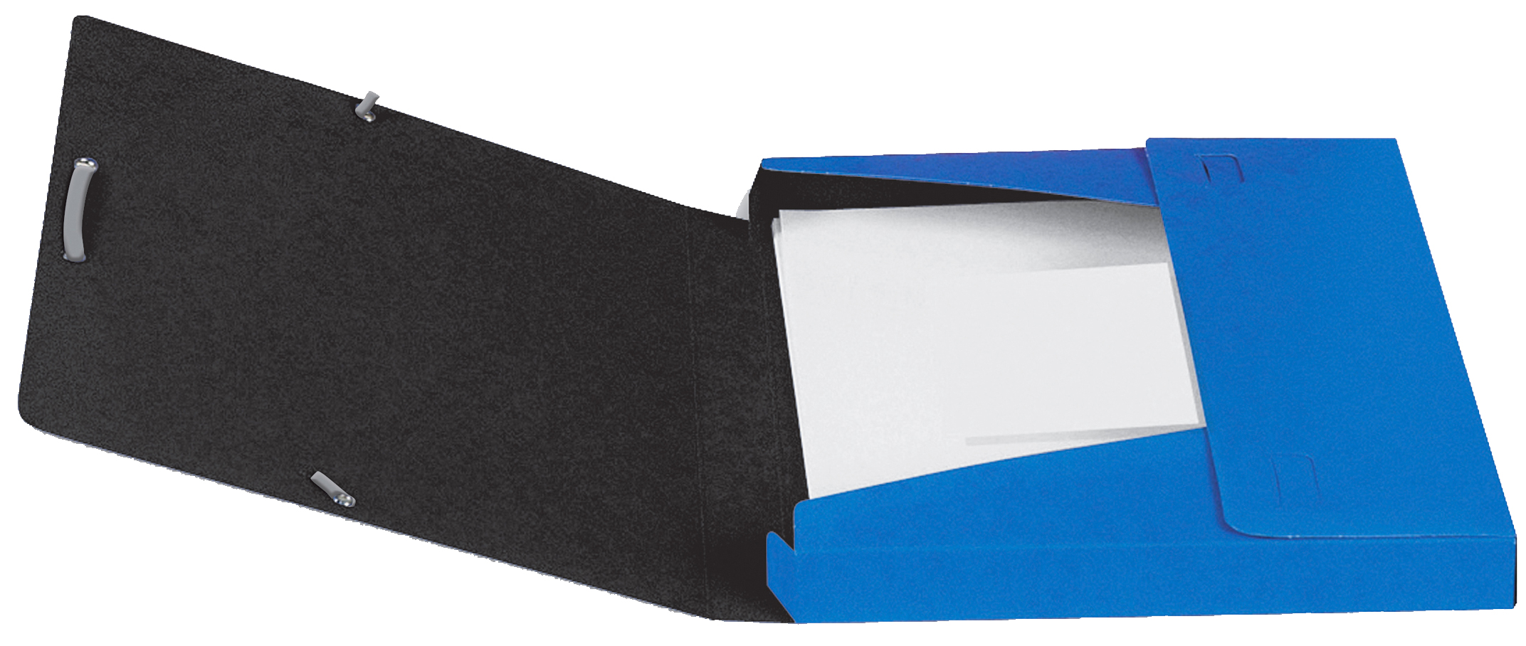 100200402_int5893229210202 ELBA Sammelbox Boston, DIN A4, Rückenbreite: 25 mm, sortiert