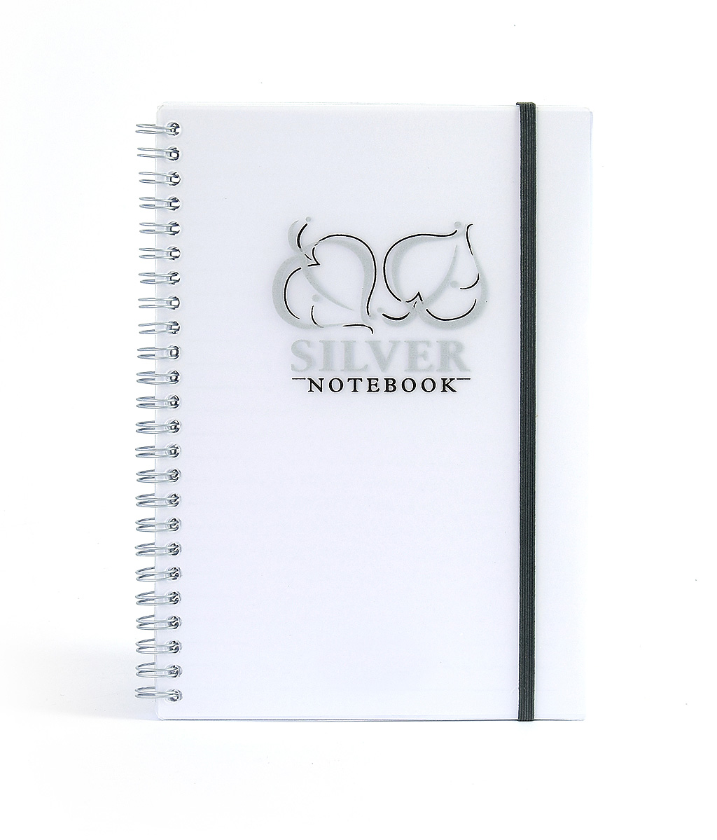 Notizbuch "Golden&Silver", liniert, PP-Transparentcover, Wire-O-Bindung - silber - DIN A5