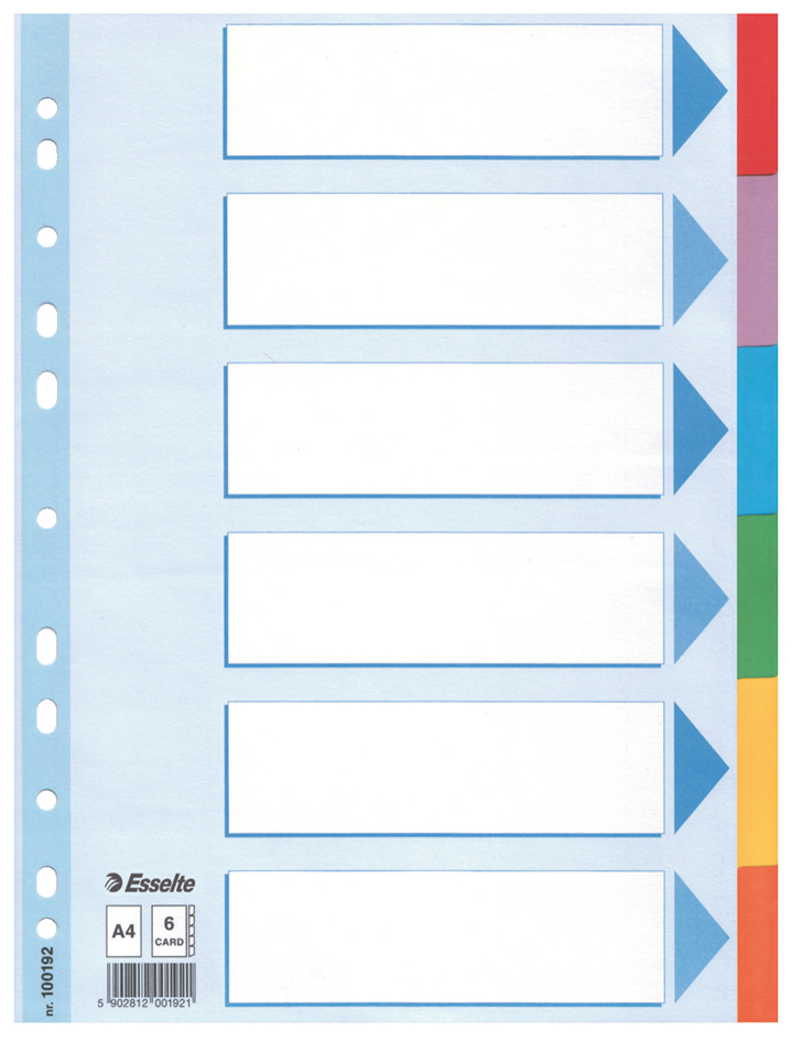 100192 Esselte Karton-Register, blanko, A4, 6-teilig, mehrfarbig