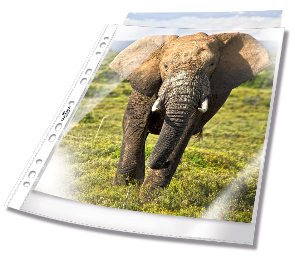 2658_19_GEN_A DURABLE BUSINESS Prospekthülle, DIN A4, PP, transparent