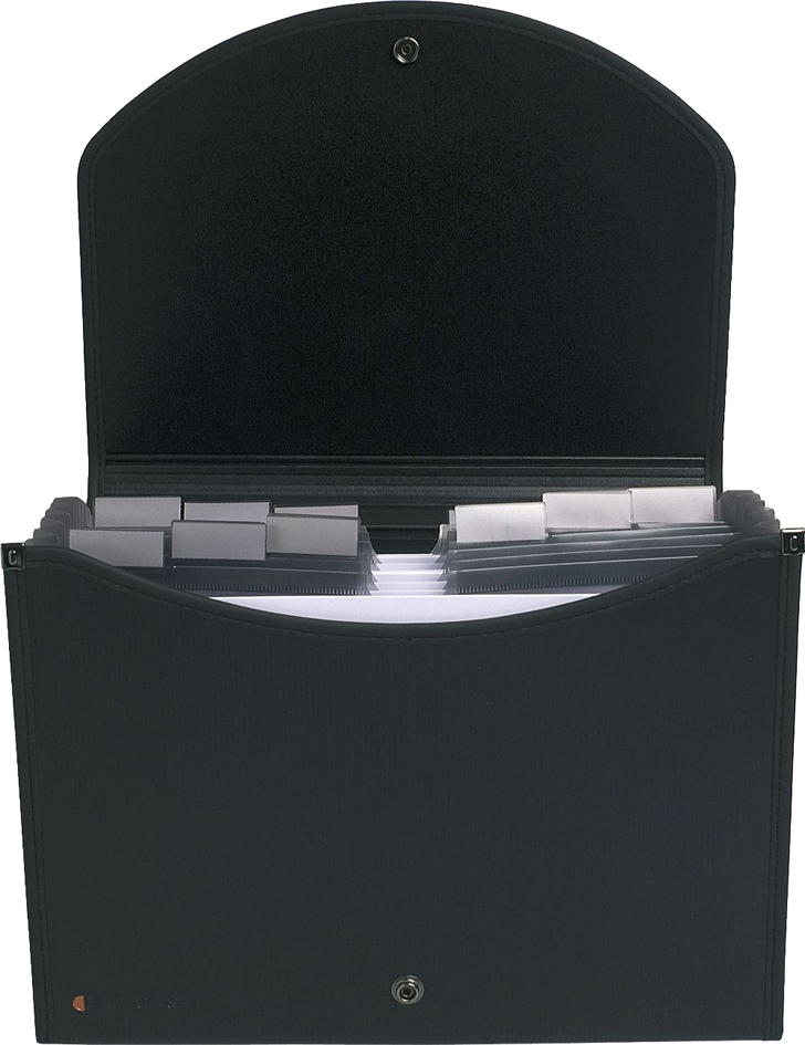 55934E_2 EXACOMPTA Fächermappe Exacase, 13 Fächer, schwarz