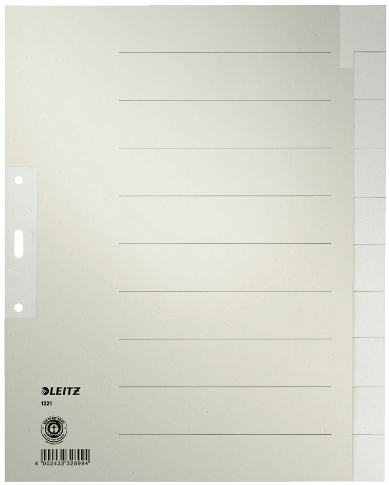 122100855893671fb8cf6 LEITZ Tauenpapier-Register, blanko, A4, 20-teilig, grau