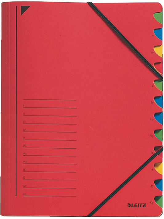 LEITZ Ordnungsmappe, DIN A4, Karton, 12 Fächer, blau
