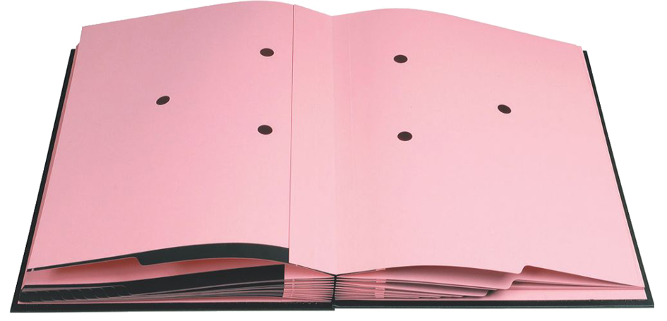 24124E_458936f8fc991e EXACOMPTA Unterschriftenmappe, DIN A4, 24 Fächer, schwarz