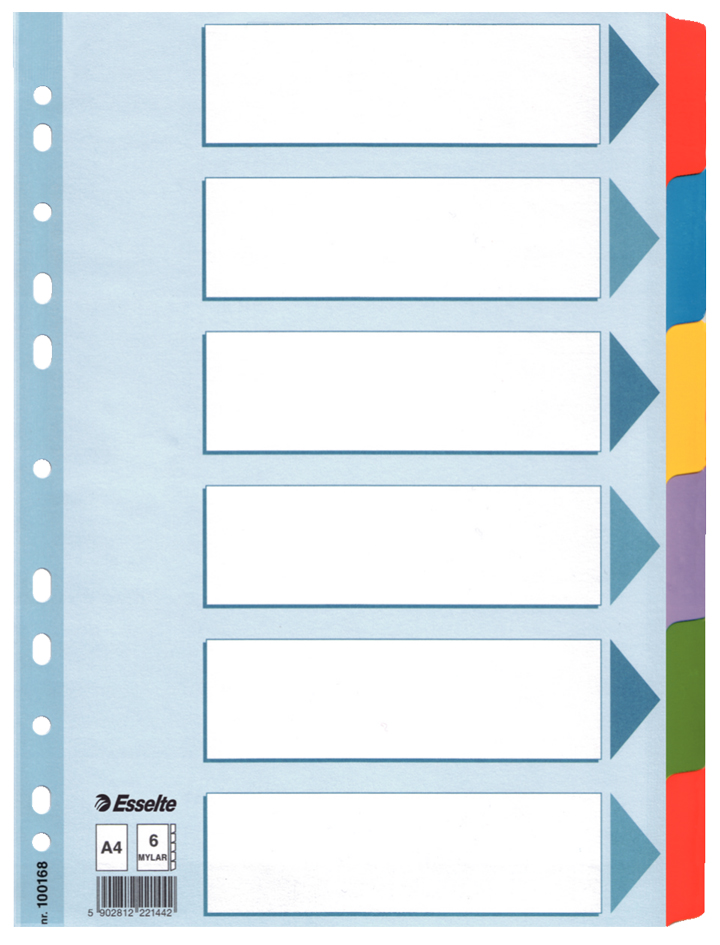 es_10016858935d246cc1e Esselte Karton-Register, blanko, A4, 6-teilig, mehrfarbig