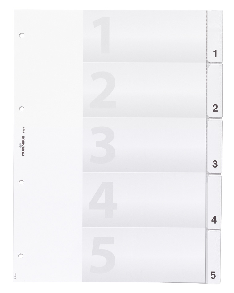 6820_19_GEN_B5893a21e10b0f DURABLE Kunststoff-Register, A4, 20-teilig, transparent