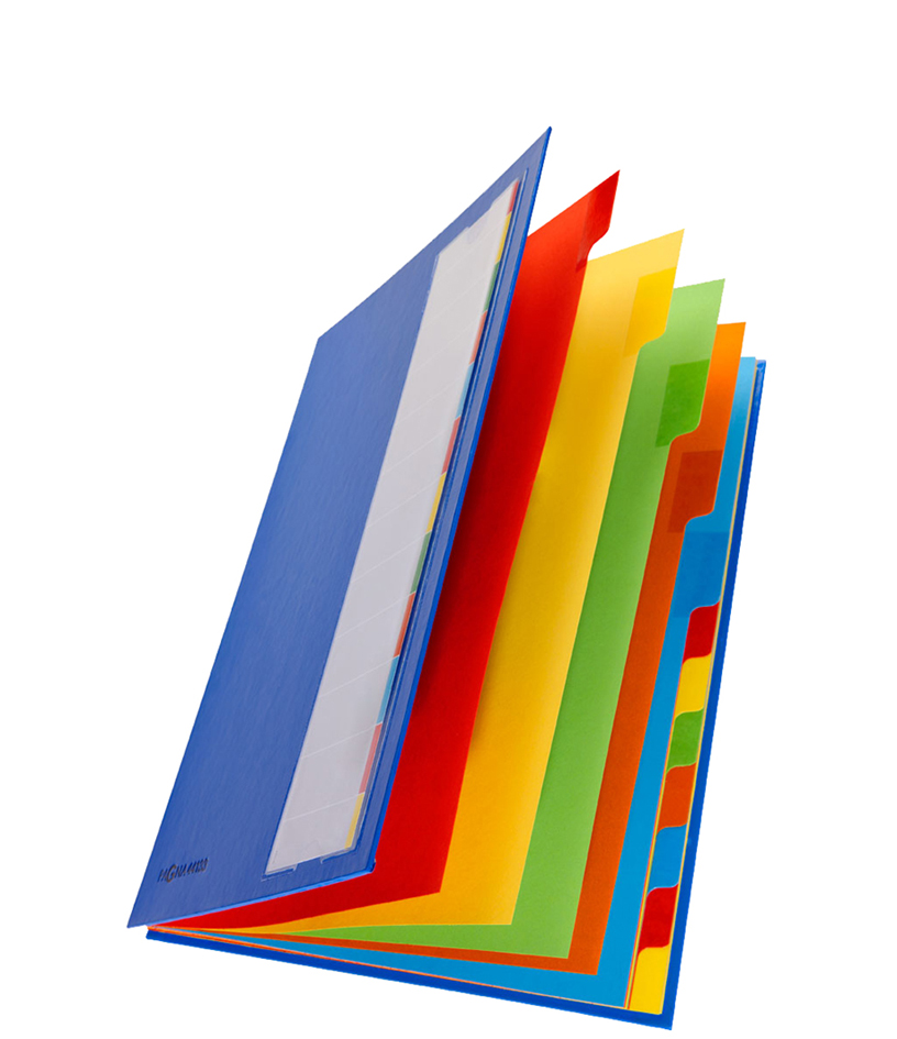 PAGNA Ordnungsmappe DESKORGANIZER Color, 12 Fächer, schwarz