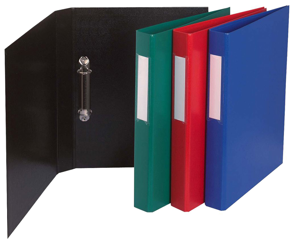EXACOMPTA Ringbuch PP, 2-Ring-Mechanik, DIN A4, sortiert