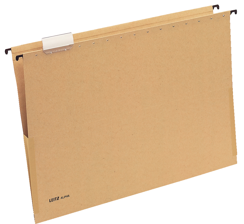 19760000 LEITZ ALPHA Hängetasche, A3, mit Fröschen, natron