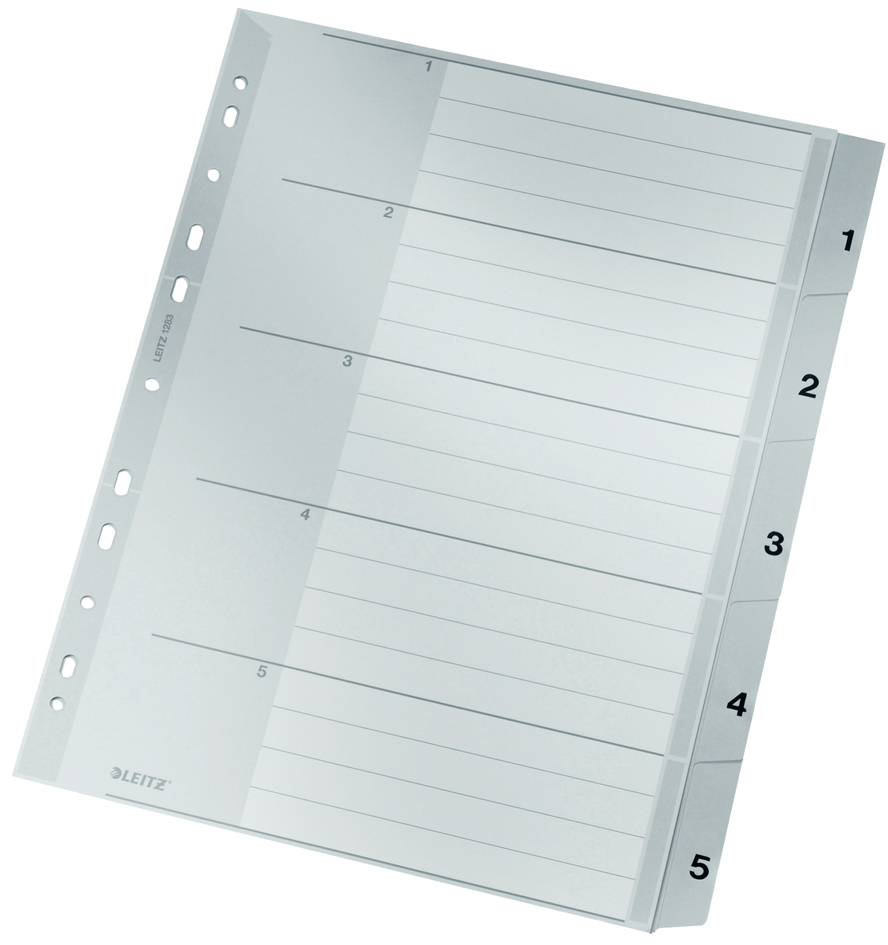 1283008558935ee9aae36 LEITZ Kunststoff-Register, Zahlen, A4 Überbreite, 1-20, grau