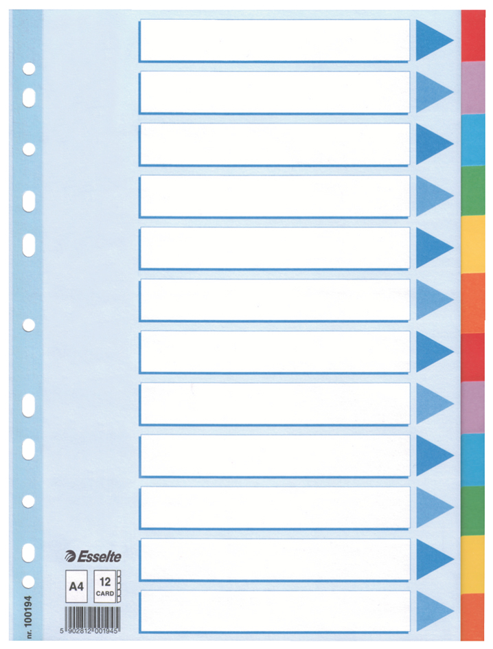 8010019458935d2b44cd6 Esselte Karton-Register, blanko, A4, 12-teilig, mehrfarbig