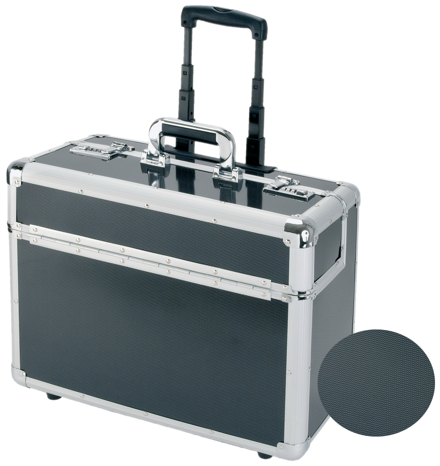 45129_carbon ALUMAXX Pilotenkoffer ´CARBON´, Aluminium, silber / carbon