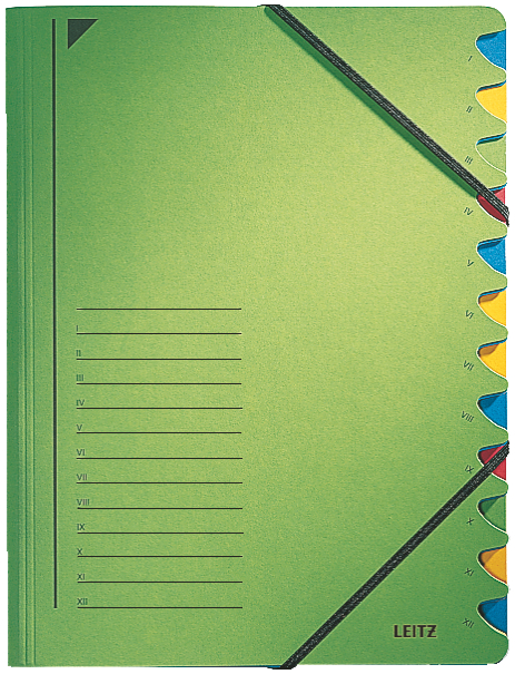 LEITZ Ordnungsmappe, DIN A4, Karton, 7 Fächer, grün
