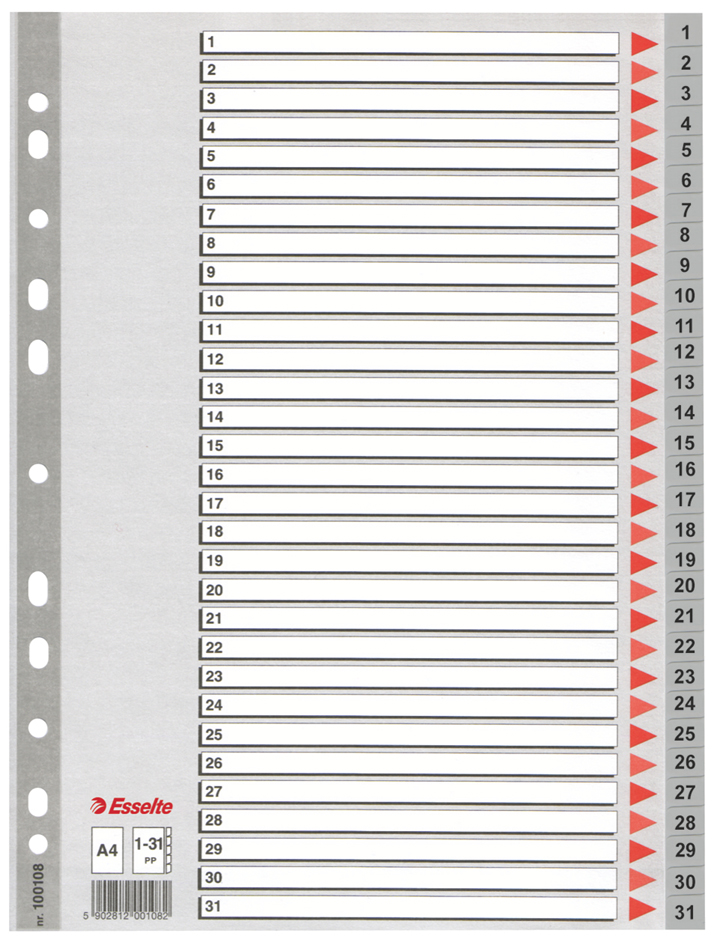 80100108 Esselte Kunststoff-Register, Zahlen, A4, 1-31, grau