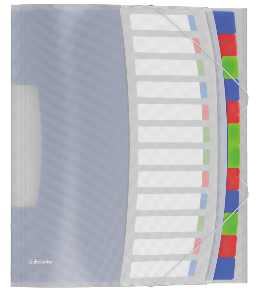 806240305893674c4f45f Esselte Ordnungsmappe VIVIDA, A4, PP, 12 Fächer, mehrfarbig