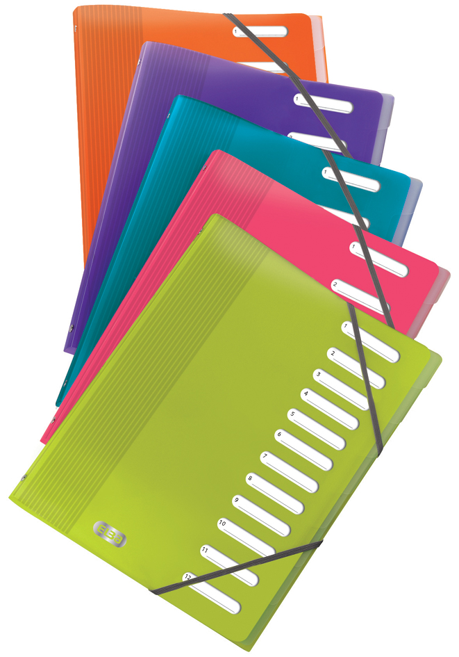 40000653158934050a07b0 ELBA Ordnungsmappe ´ELBA School Life´, 8 Fächer, DIN A4, PP