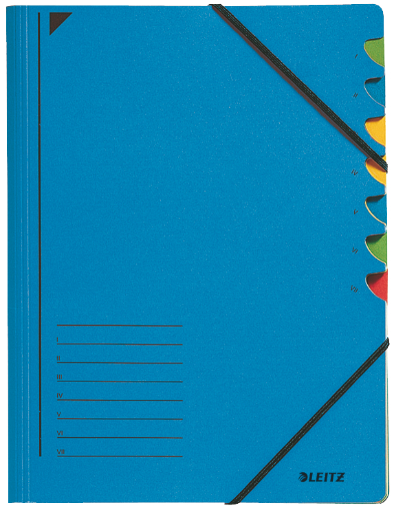 LEITZ Ordnungsmappe, DIN A4, Karton, 7 Fächer, grün