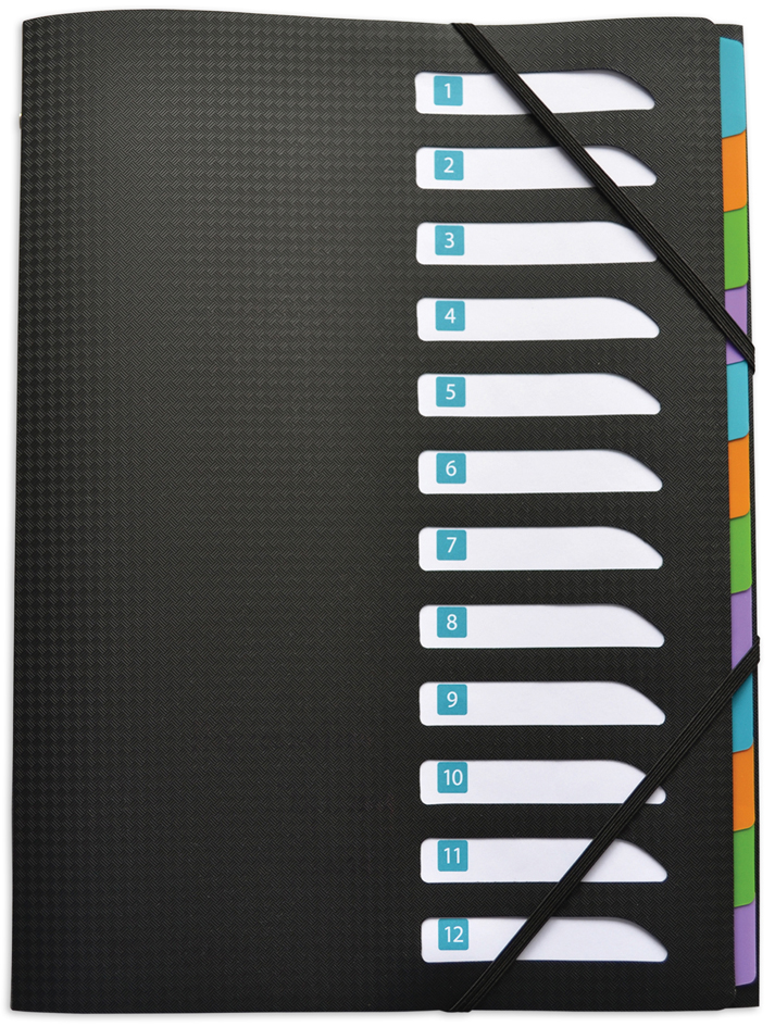 100209000_couv ELBA Ordnungsmappe memphis, A4, 12 Fächer, schwarz
