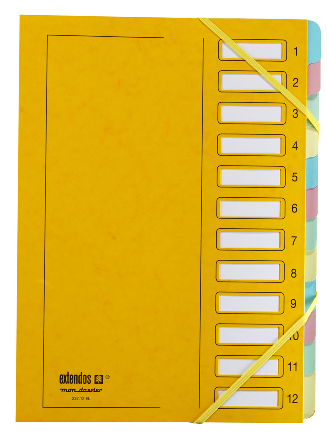 extendos Ordnungsmappe, DIN A4, Karton, 9 Fächer, grün