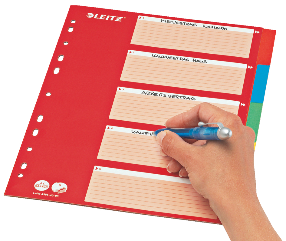 43866000-Anw5893631b2e003 LEITZ Karton-Register, blanko, A4, 10-teilig, mehrfarbig