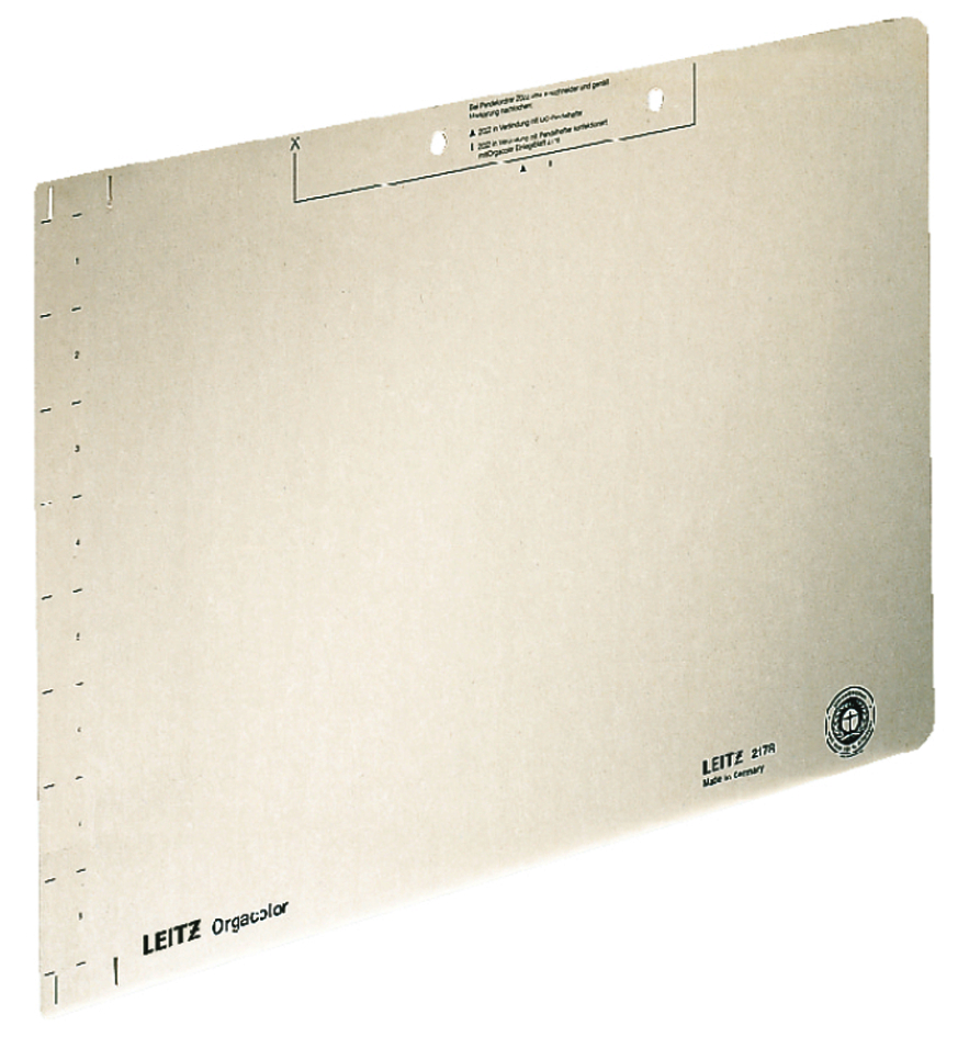21780011 LEITZ Einlegeblatt, (B)323 x (H)224 mm, chamois