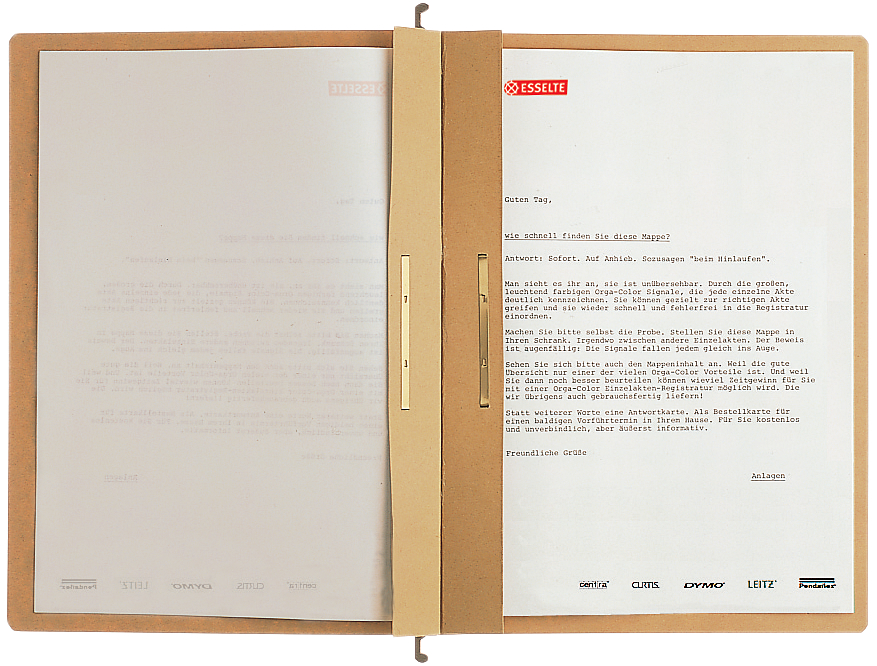 1987589b288d246ab LEITZ ALPHA Zweifach-Hängehefter, A4, natron