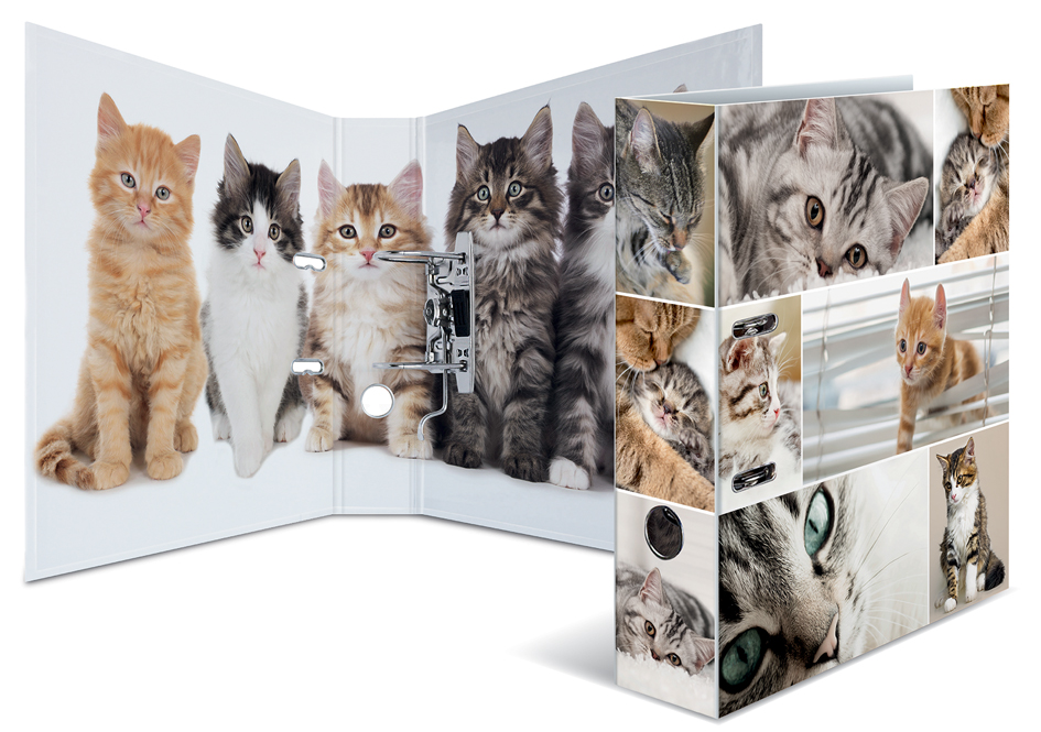 7166_Katzen58934e8f0cf86 HERMA Motivordner ´Animals´, DIN A4, Katzen