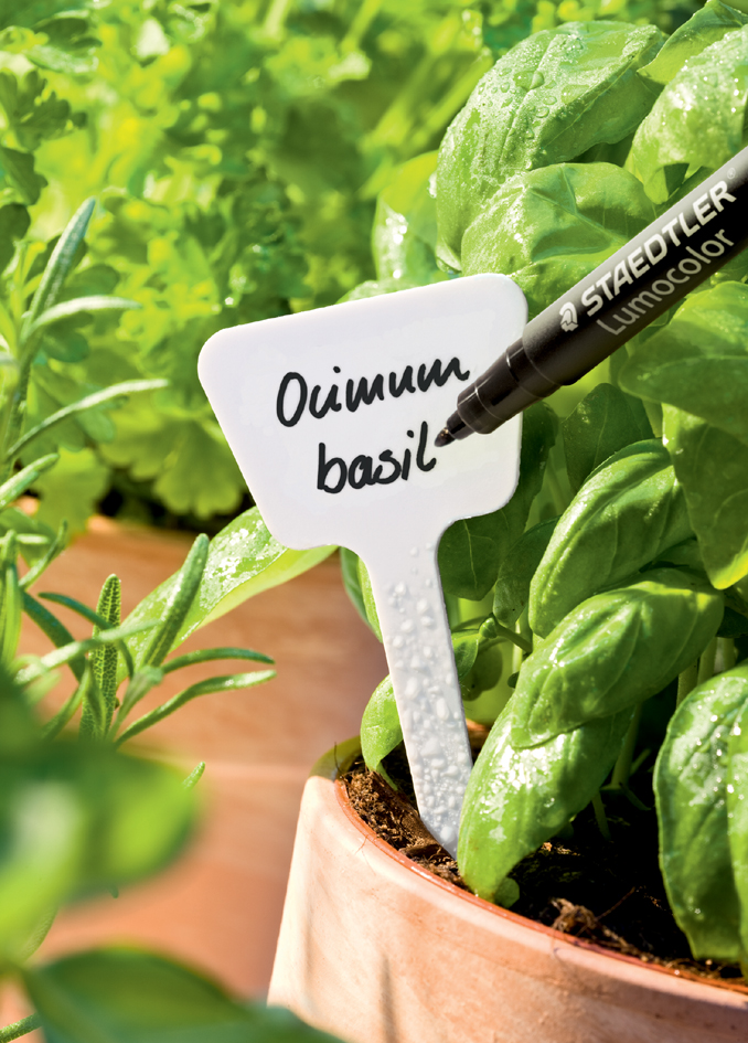 STAEDTLER Lumocolor Gartenmarker garden, schwarz