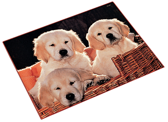 46581_hunde_perspekt Läufer Schreibunterlage Pferd und Fohlen, 400 x 530 mm