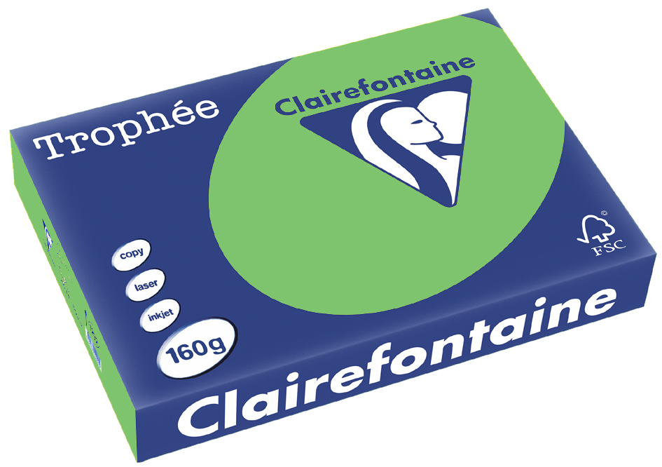 a6130c419d1153d2fdfcbb273c24944d Clairefontaine Trophée Papier 1025C, A4, 160 g/m² - maigrün - maigrün