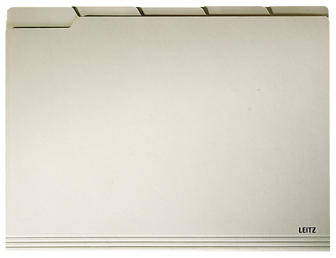 2434 LEITZ Einstellmappe, mit Taben, A4, chamois