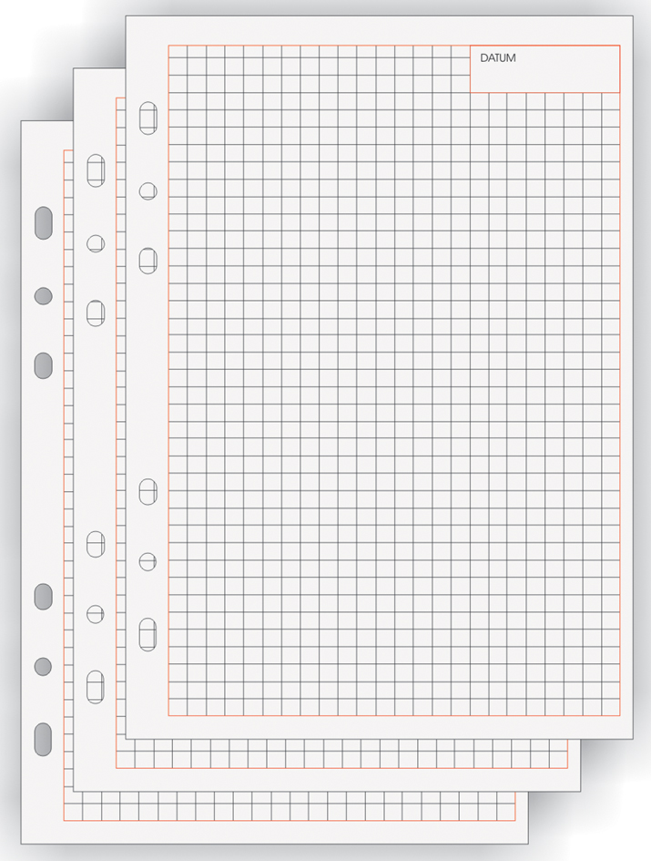 B2544_Kariert_A558933f843b742 bind Ersatzeinlagen Notizblätter Manager, A5, kariert