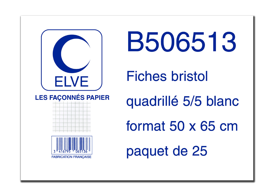 83500062 ELVE Karteikarten, 500 x 650 mm, kariert, weiB