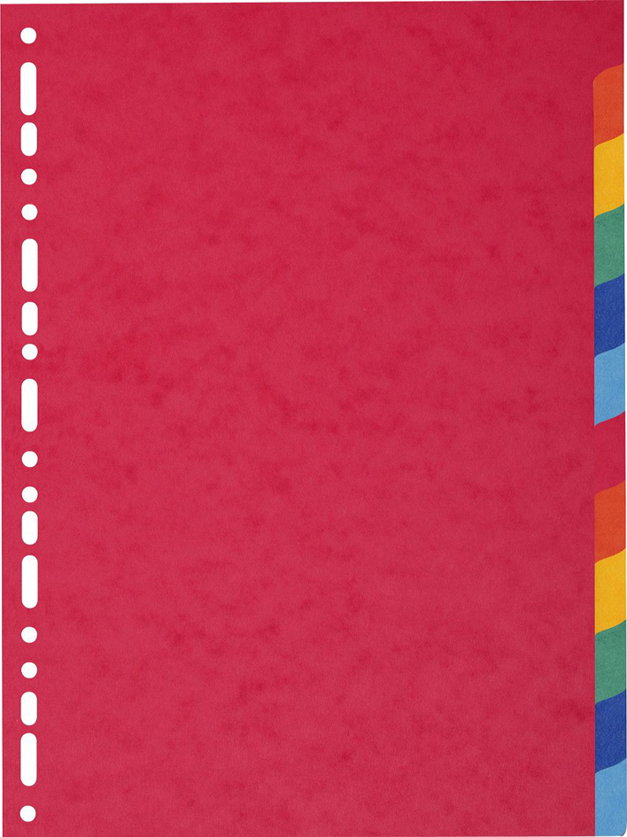 2012E_158936f3b162bd EXACOMPTA Karton-Register, DIN A4, 12-teilig