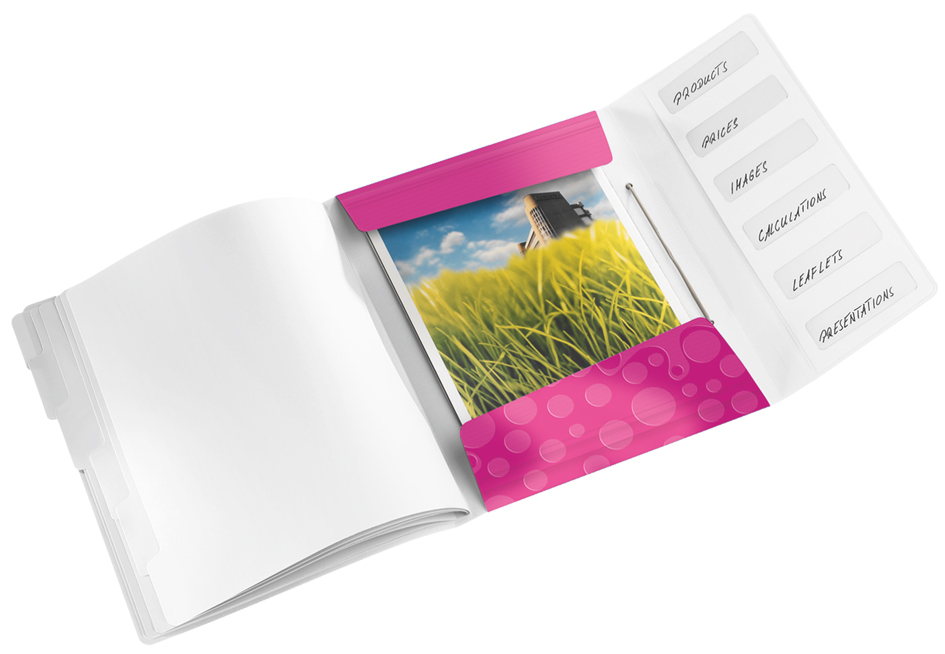 46330023_a1589363b69ad4e LEITZ Ordnungsmappe WOW, DIN A4, PP, 12 Fächer,pink-metallic
