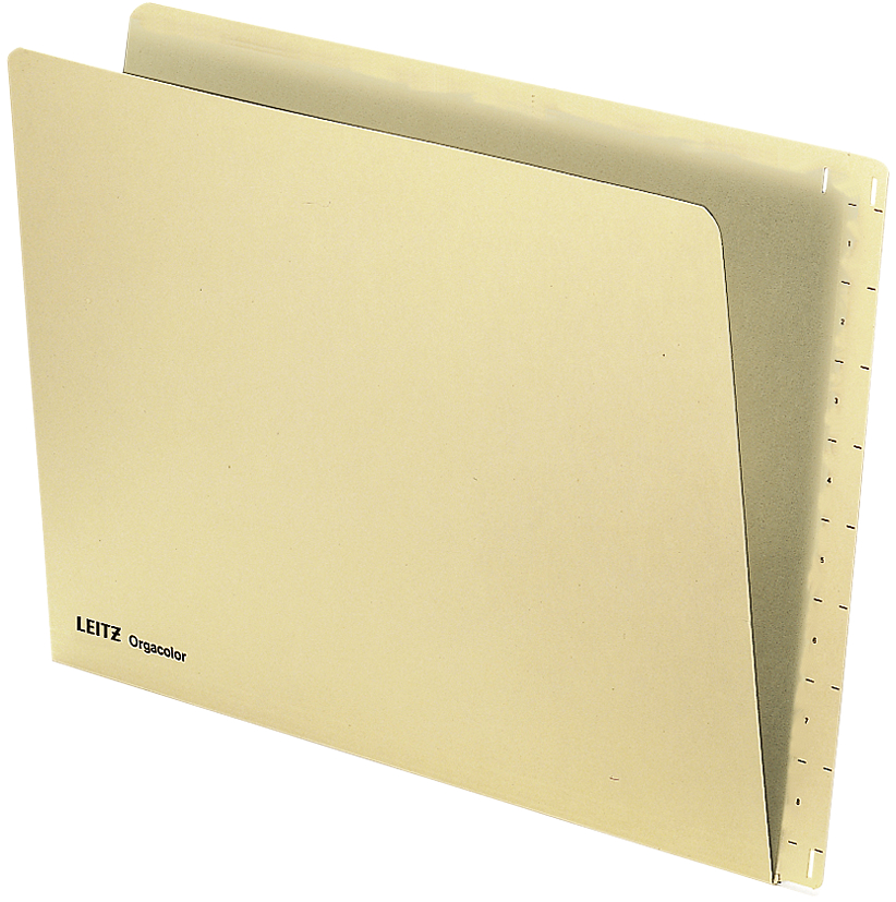 2432 LEITZ Einstellmappe Orgacolor, A4, mit Tab, chamois
