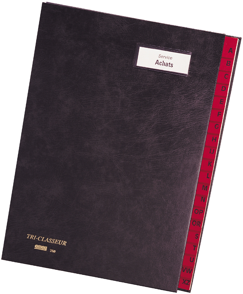 750-20589323ef0d26a emey Pultordner 750, 20 Fächer, mit Taben von A - Z