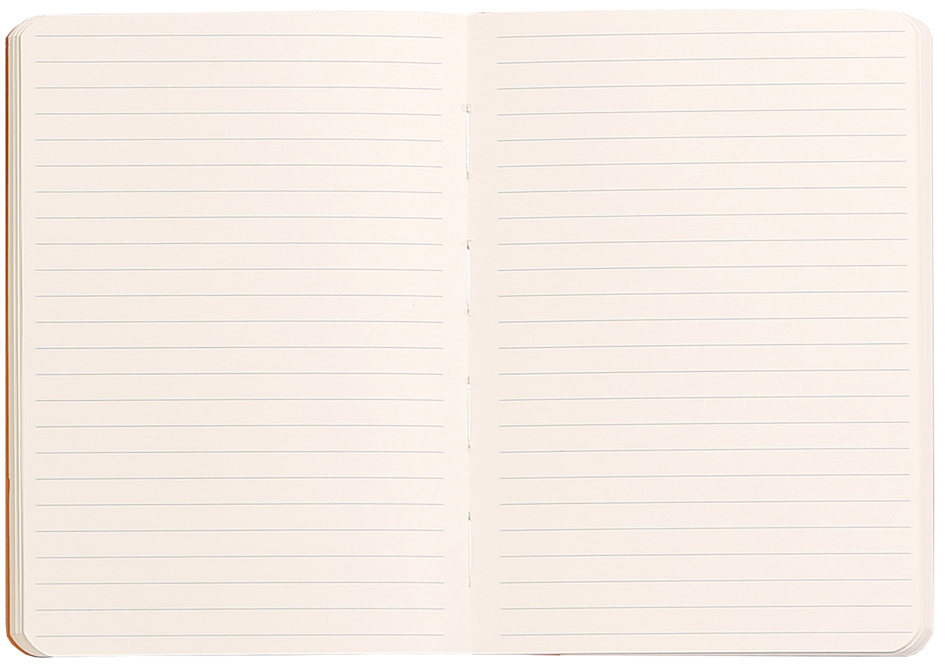117303C_ouv589c5b0593c16 RHODIA Notizbuch RHODIARAMA, DIN A5, liniert, lila