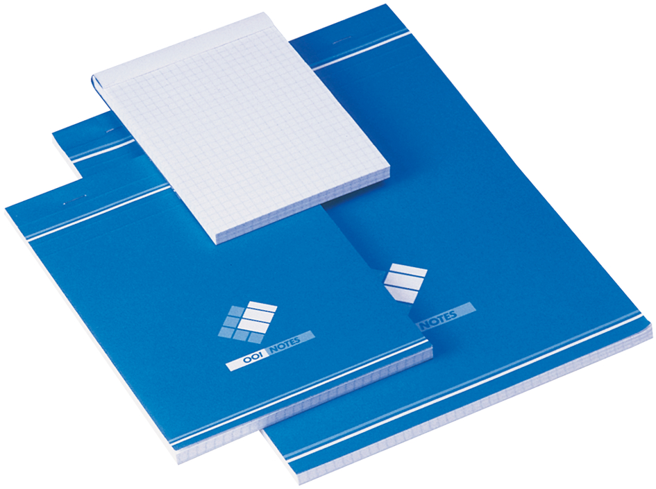 218935893214579685 001BLOC Notizblock 001, kariert, Maße: (B)210 x (H)297 mm