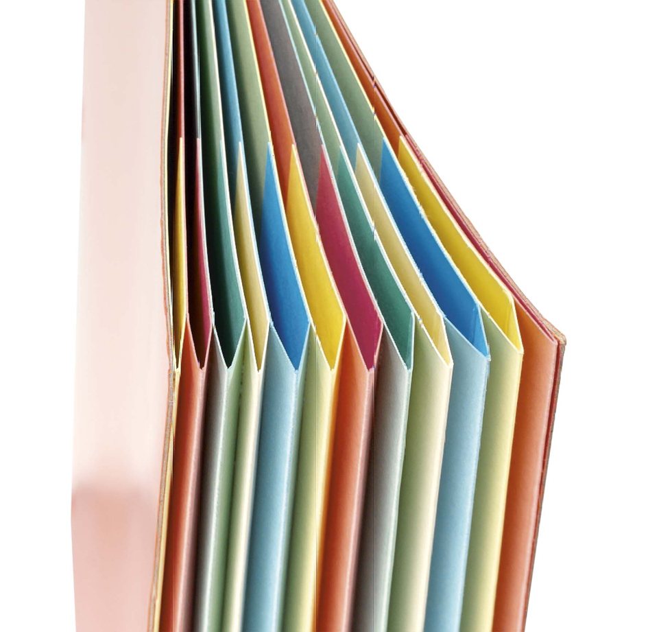 extendos Ordnungsmappe, DIN A4, Karton, 9 Fächer, grün