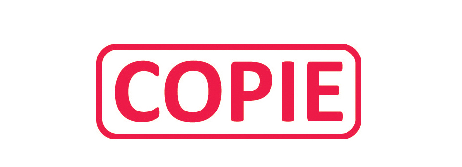 copie589af9e60f3e6 trodat Textstempelautomat X-Print 4912 ´DUPLICATA´