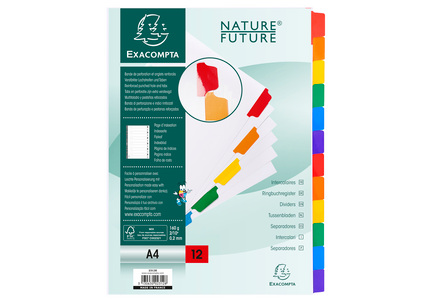 2312E EXACOMPTA Karton-Register, DIN A4, 12-teilig