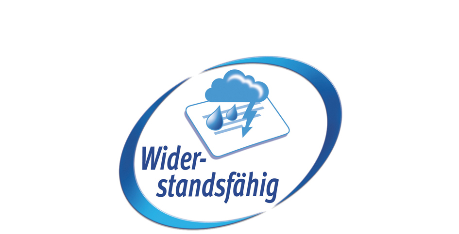 Widerstandsfaehig589359987b546 AVERY Zweckform Typenschild-Etiketten, 63,5 x 29,6mm, silber