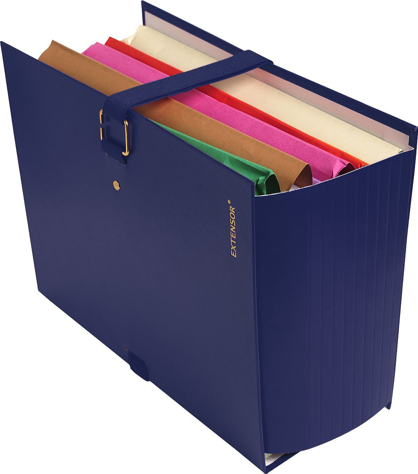 22003E_358936faa4537f EXACOMPTA Dokumentenmappe EXTENSOR, DIN A4, schwarz