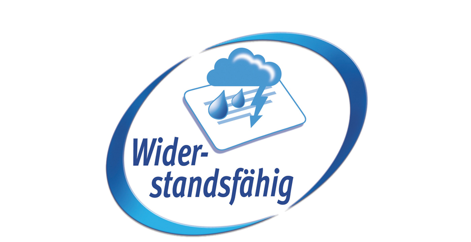 Widerstandsfaehig589359bed76d0 AVERY Zweckform Wetterfeste Etiketten, 210 x 148 mm, gelb