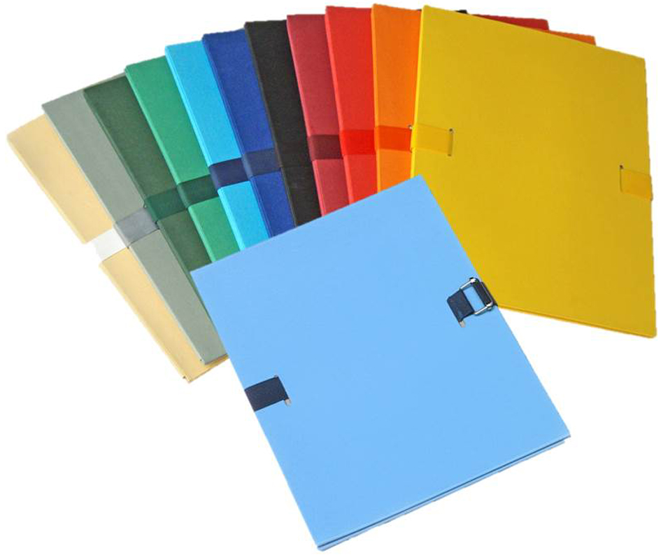 400081927_asso58935b35140d4 ELBA Dokumentenmappe, DIN A4, PVC-Einband, sortiert