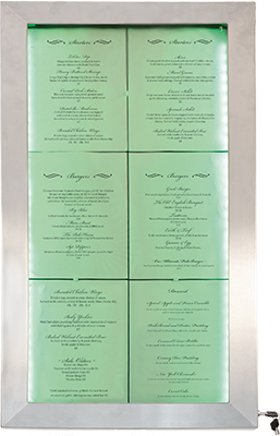 MCS-6A4-LSS-GREEN589b2cc11a47a Securit Schaukasten STAINLESS STEEL, für 6 DIN A4 Seiten